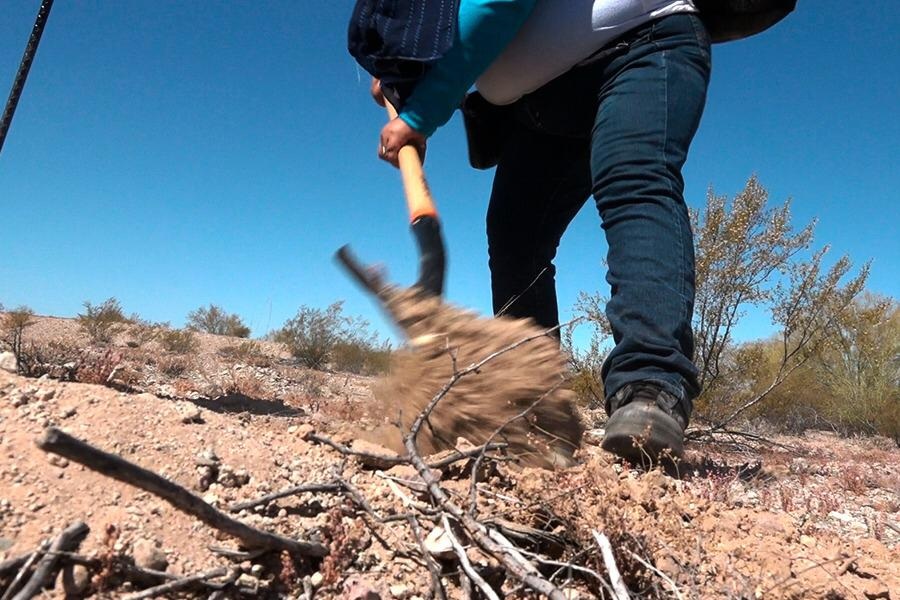 Mujeres rastreadoras hallan 15 osamentas en fosas clandestinas de Sonora Gaceta de Tamaulipas